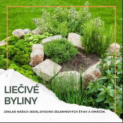 Liečivá oáza: Vytvor si vlastnú bylinkovú špirálu.