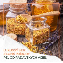 Luxusný liek z lona prírody: Peľ od radavských včiel. 