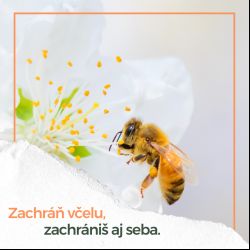 Narazili ste na unavenú včelu? Takto jej zachránite život!