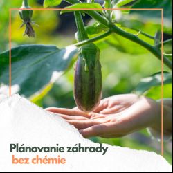 Plánovanie záhrady bez chémie a škodcov.