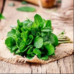 Spoznajte aromatickú kráľovnú - Mätu Japonskú